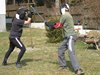 IMG_2762