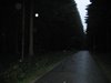IMG_3178