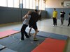 IMG_3223