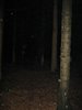 IMG_3181