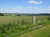 IMG_3279